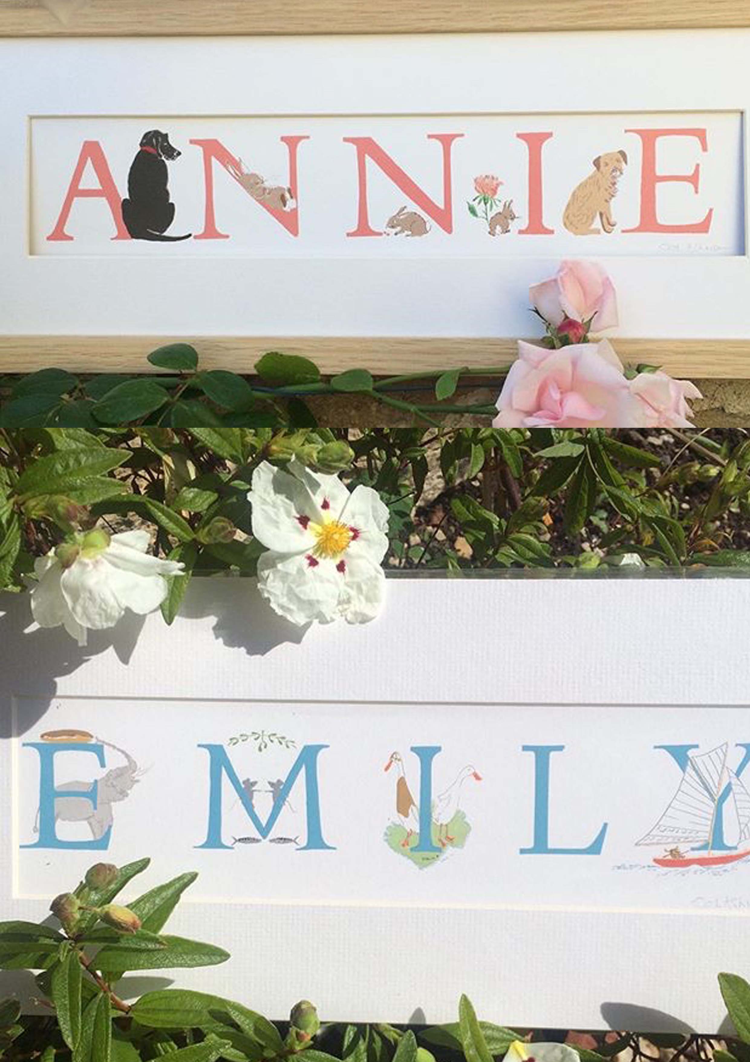 blog 2 Annie and Emily