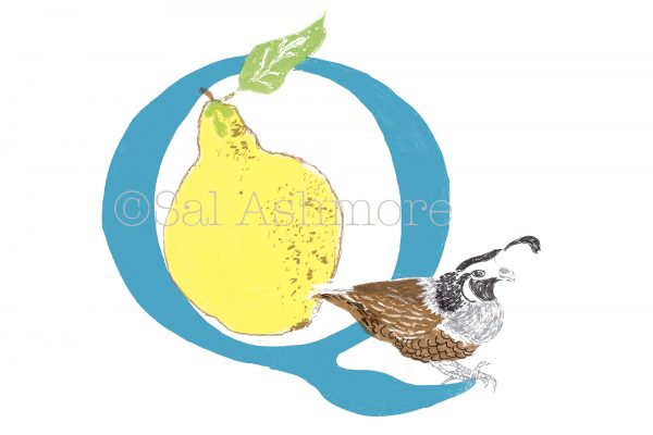 Story Letter Print Q - Quince and the Quail