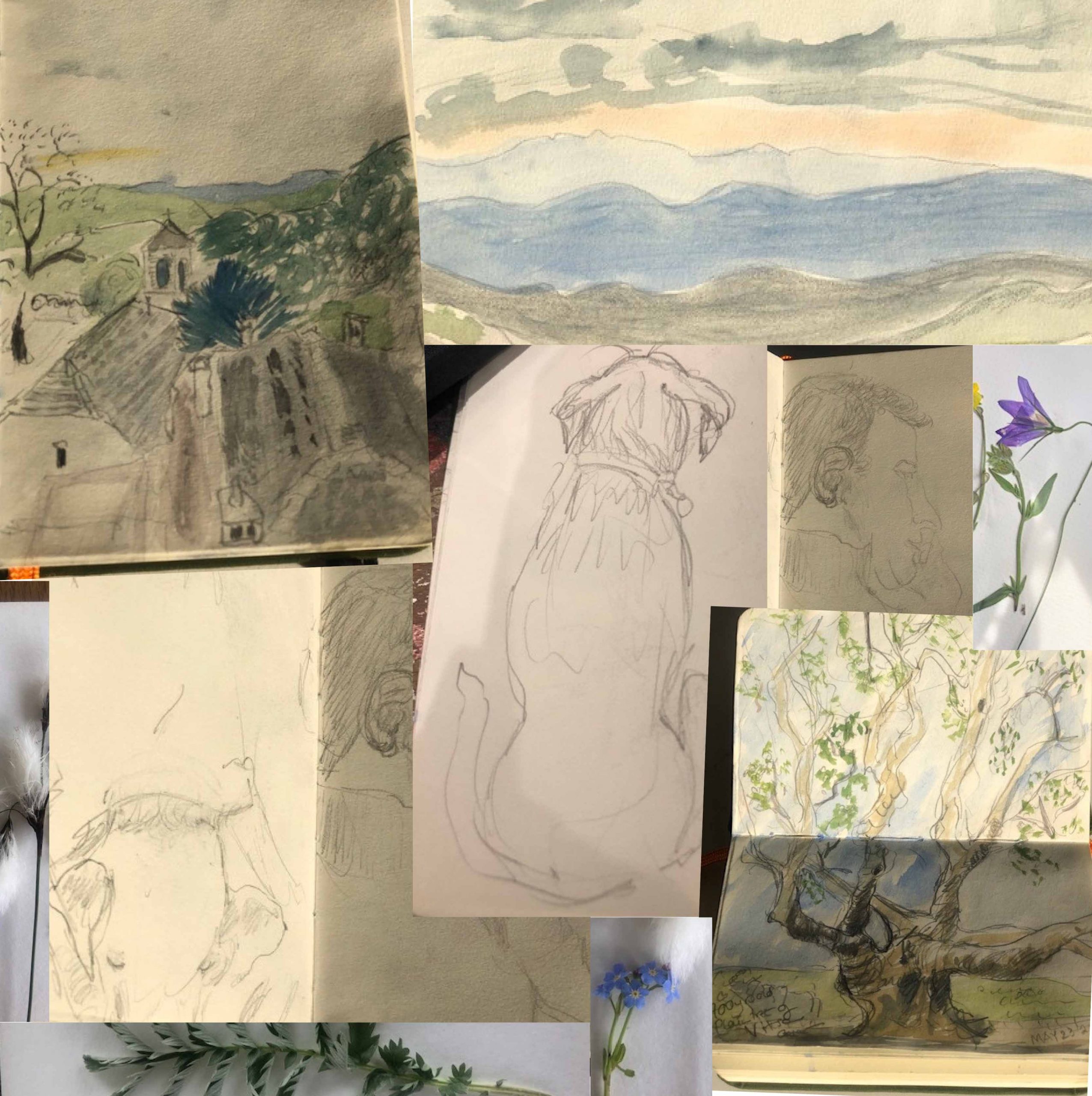 This image depicts a series of pages from my holiday sketch book, which are a source of inspiration for my bespoke artwork you can choose from to create your personalised prints. Pencil sketches of my dog sitting and sleeping; a man snoozing on the ferry to Lewis, and watercolours sketched in Zagoria, of a greek village, a plane tree and the distant layering of colourful mountains painted one evening at sunset from the top of a Greek Refuge . Plus some pressed wild flowers.