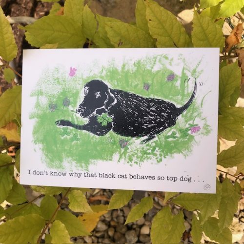 Good luck card of a black labrador dog holding a four leaf clover which he has found you ! Text outside reads I don't know why that black cat behaves so top dog ... ' inside text continues ' look what I have found you !Good luck