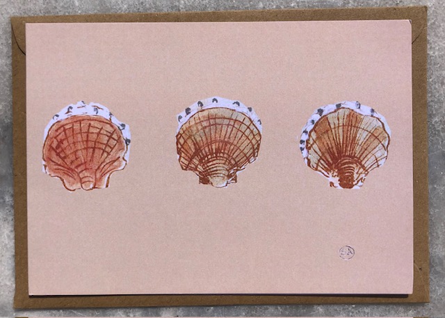 3 pretty scallop shells set on a warm sandy background