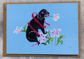 A black labrador puppy wrapped in red Christmas ribbon , clutches a Christmas rose in his mouth, on an icy blue background.