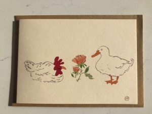 A hen and a duck sit silently around a rose, just glad to keep each other company.